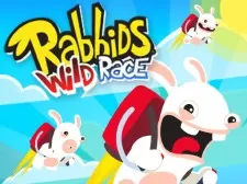 Rabbids Wild Race